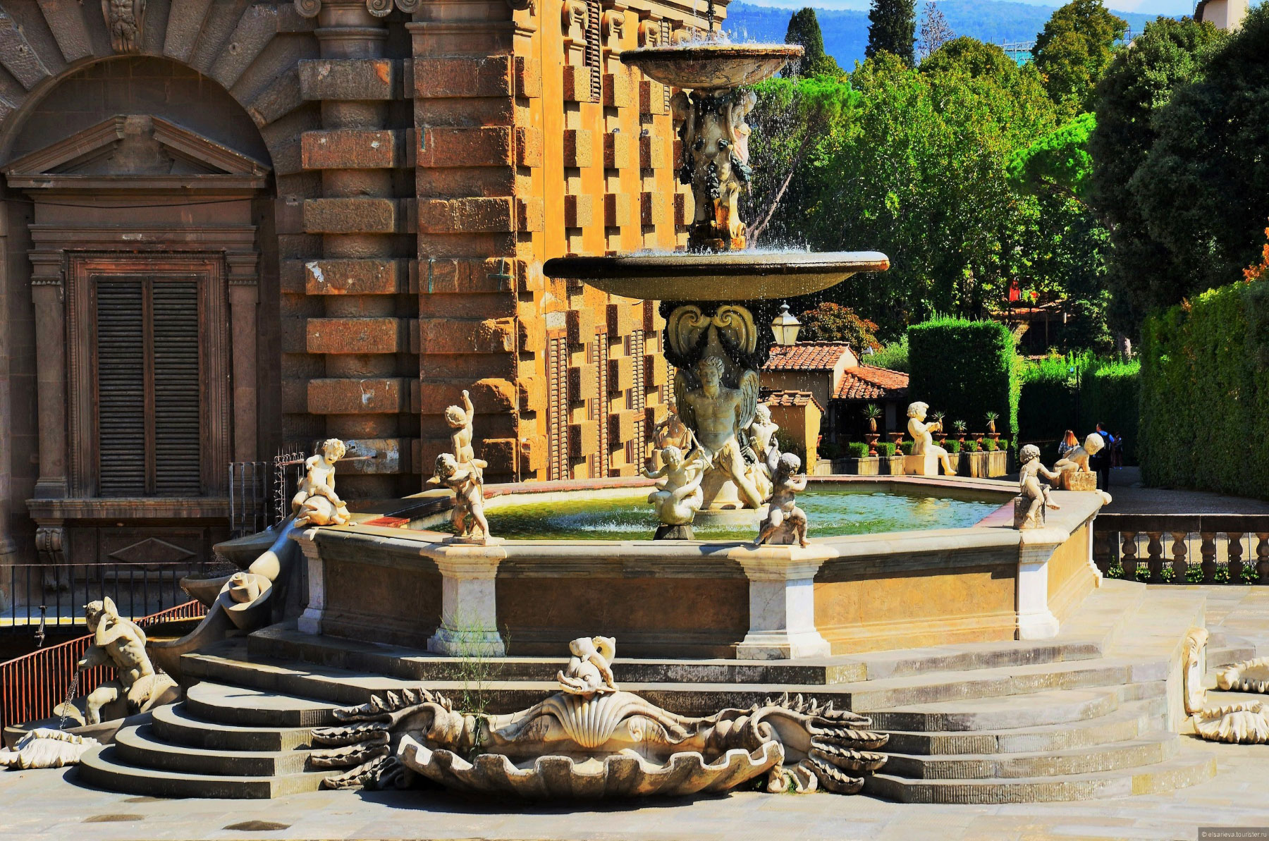 Firenze